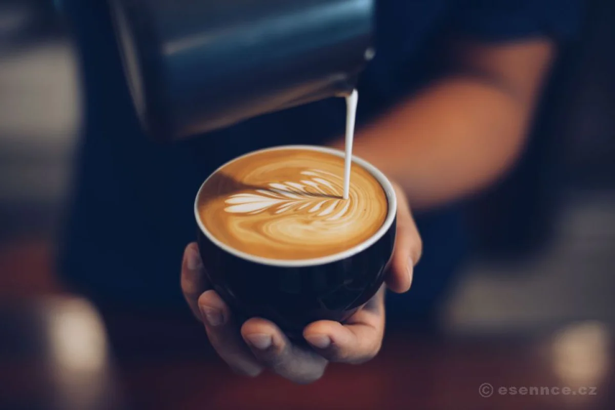 Kurz kávy - Latté art - foto 05