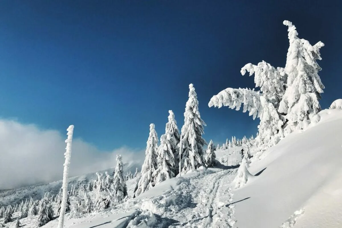Kurz skialpy pro začátečníky a pokročilé: Rakousko - foto 04