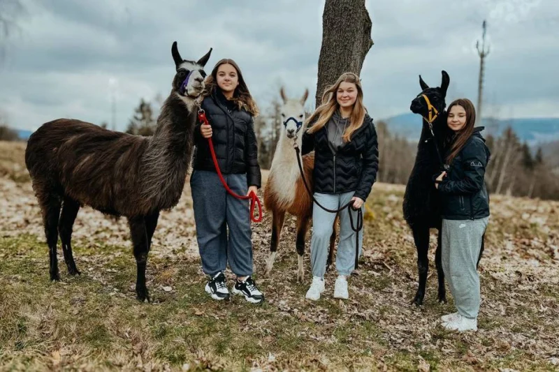 Lamatreking - procházka s lamou a krmením v Krkonoších pro 2 osoby - foto 02