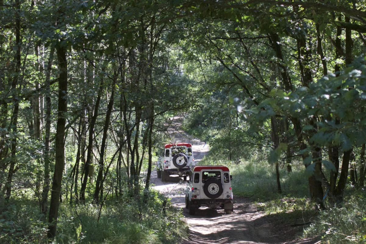 Land Rover off-road - celodenní trénink - foto 04