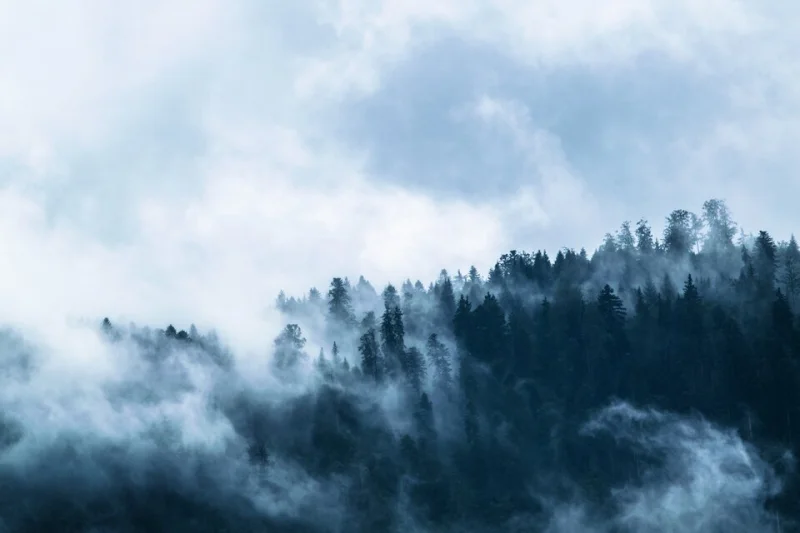 Lovci duchů: Tajemný rytíř - venkovní úniková hra ve Smolotelích u Příbrami - foto 03