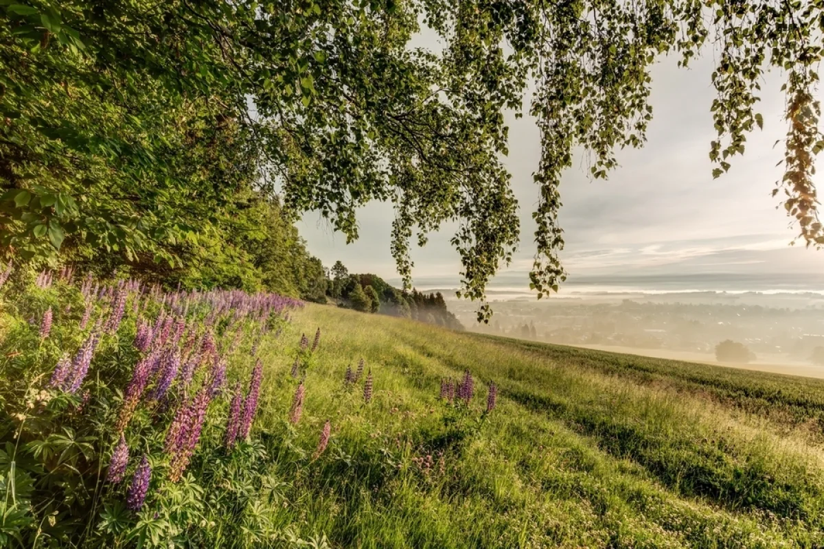 Luxusní wellness pobyt ve stylovém butikovém apartmánu View**** v Českém ráji pro dva - foto 05