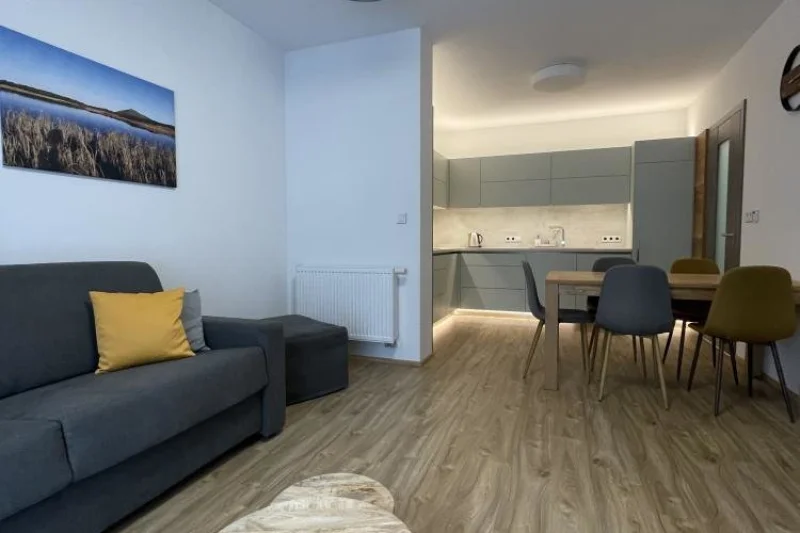 Moderní krkonošské apartmány uprostřed lesů - foto 04