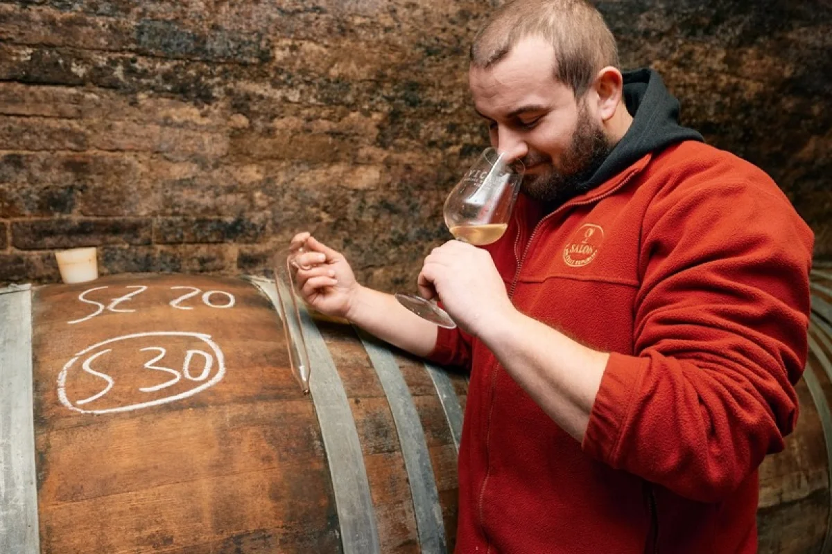 Na den vinařem: Od degustace vína po výrobu korbáčků - foto 06
