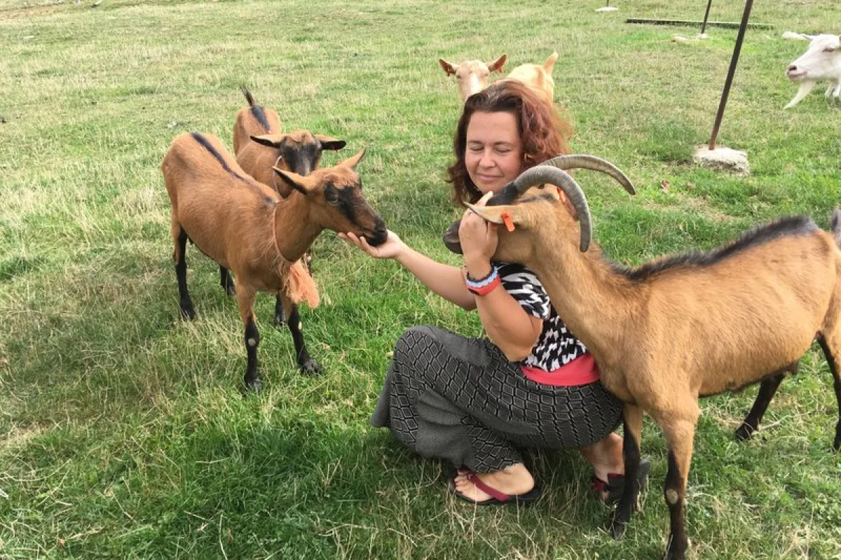 Na dva dny farmářem na Farmě Košík - foto 04