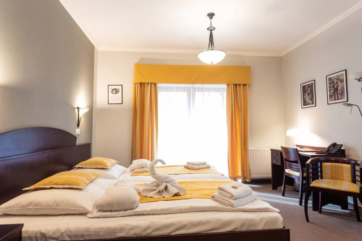 Neomezený wellness pobyt s polopenzí a relaxačními procedurami v krásném hotelu Studánka**** pro 2 osoby - foto 05