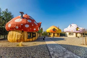 Netradiční rodinný pobyt s polopenzí v kouzelné Houbičkové vile Hotelového resortu JESENICE na 1 noc - foto 01