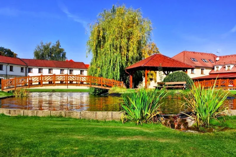 Nezapomenutelný wellness pobyt v hotelu LIONS pro 2 osoby na 4 noci - foto 02