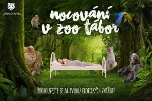 Nocování v ZOO Tábor mezi exotickými zvířaty - foto 01