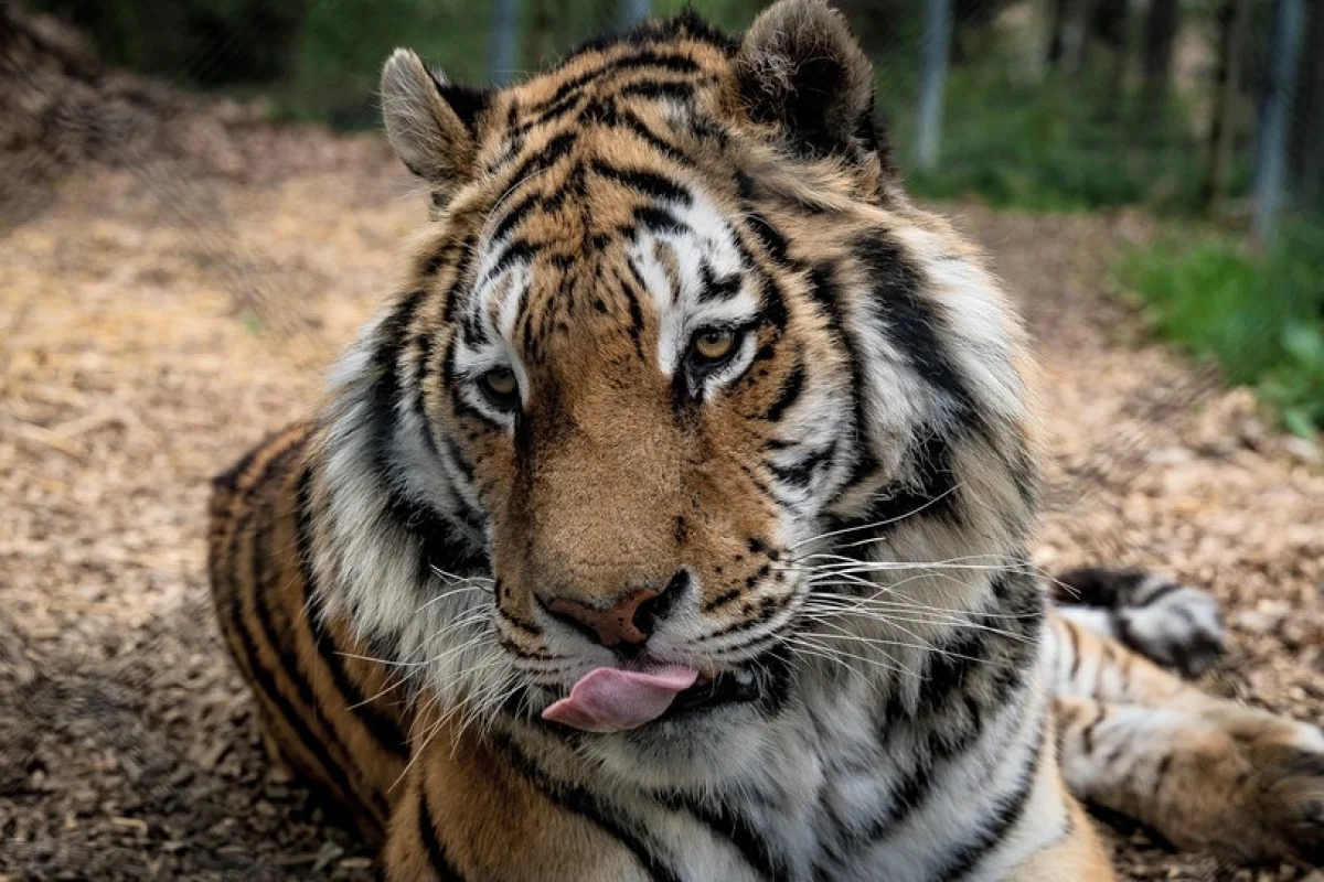 Nocování v ZOO Tábor mezi exotickými zvířaty - foto 02