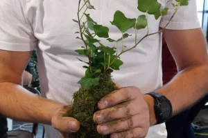 Oblíbený kreativní kurz: Výroba kokedamy v Praze - foto 01