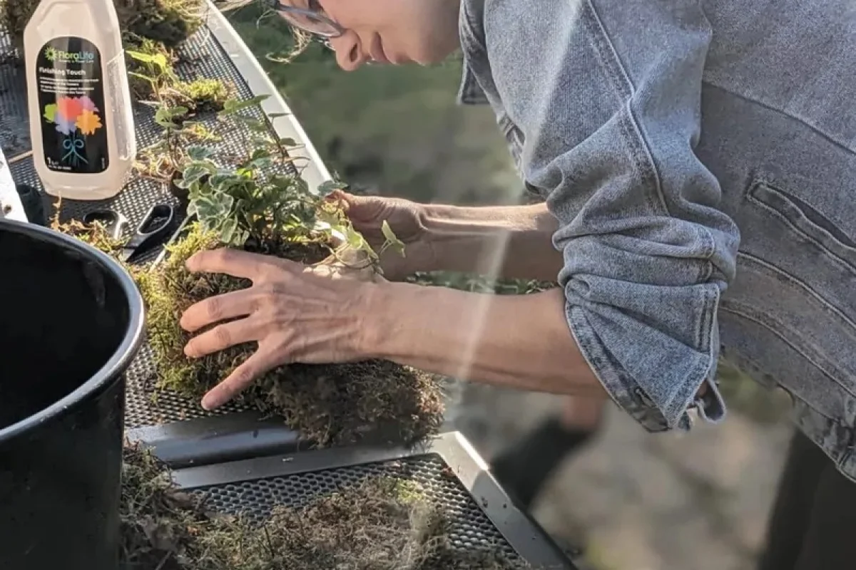 Oblíbený kreativní kurz: Výroba kokedamy v Praze - foto 06