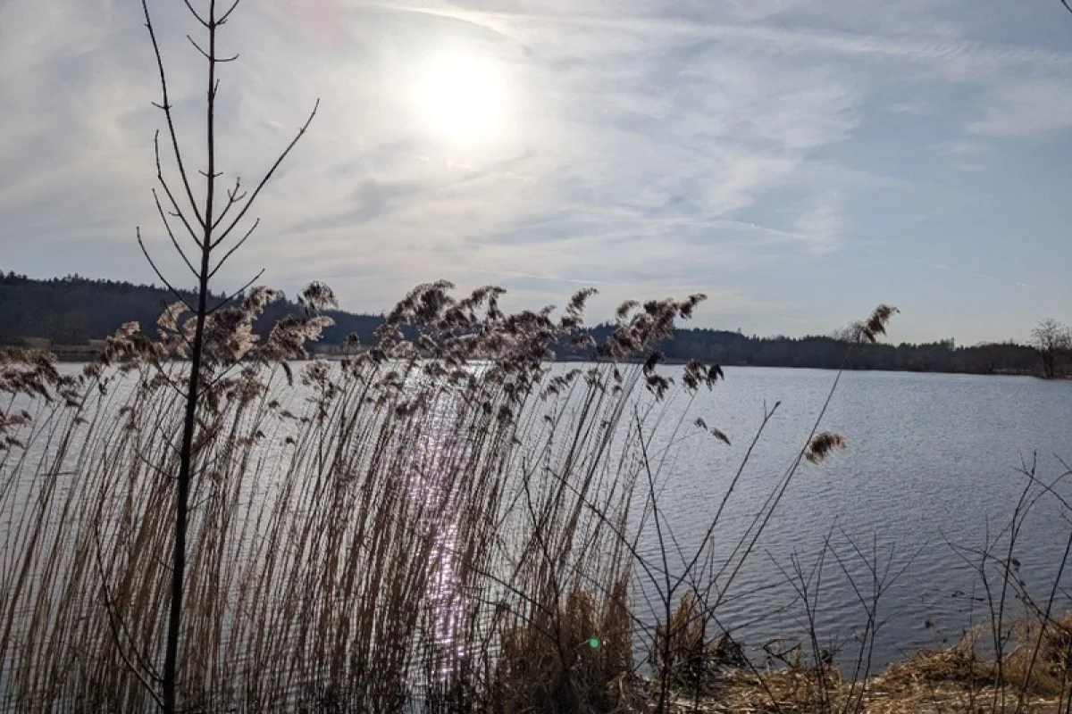 Po stopách tajného agenta: Venkovní úniková hra - foto 04