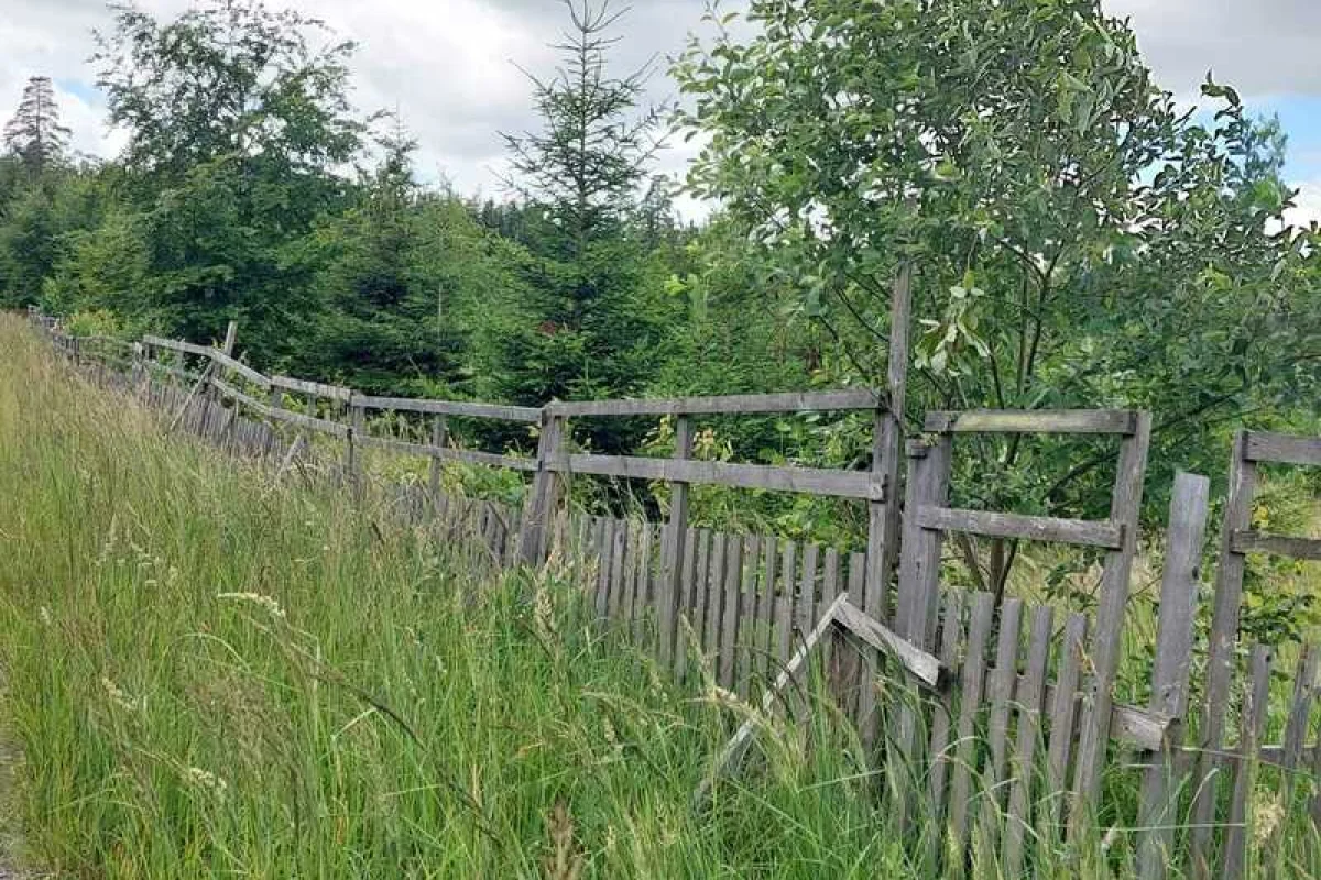 Po stopách tajného agenta: Venkovní úniková hra - foto 05