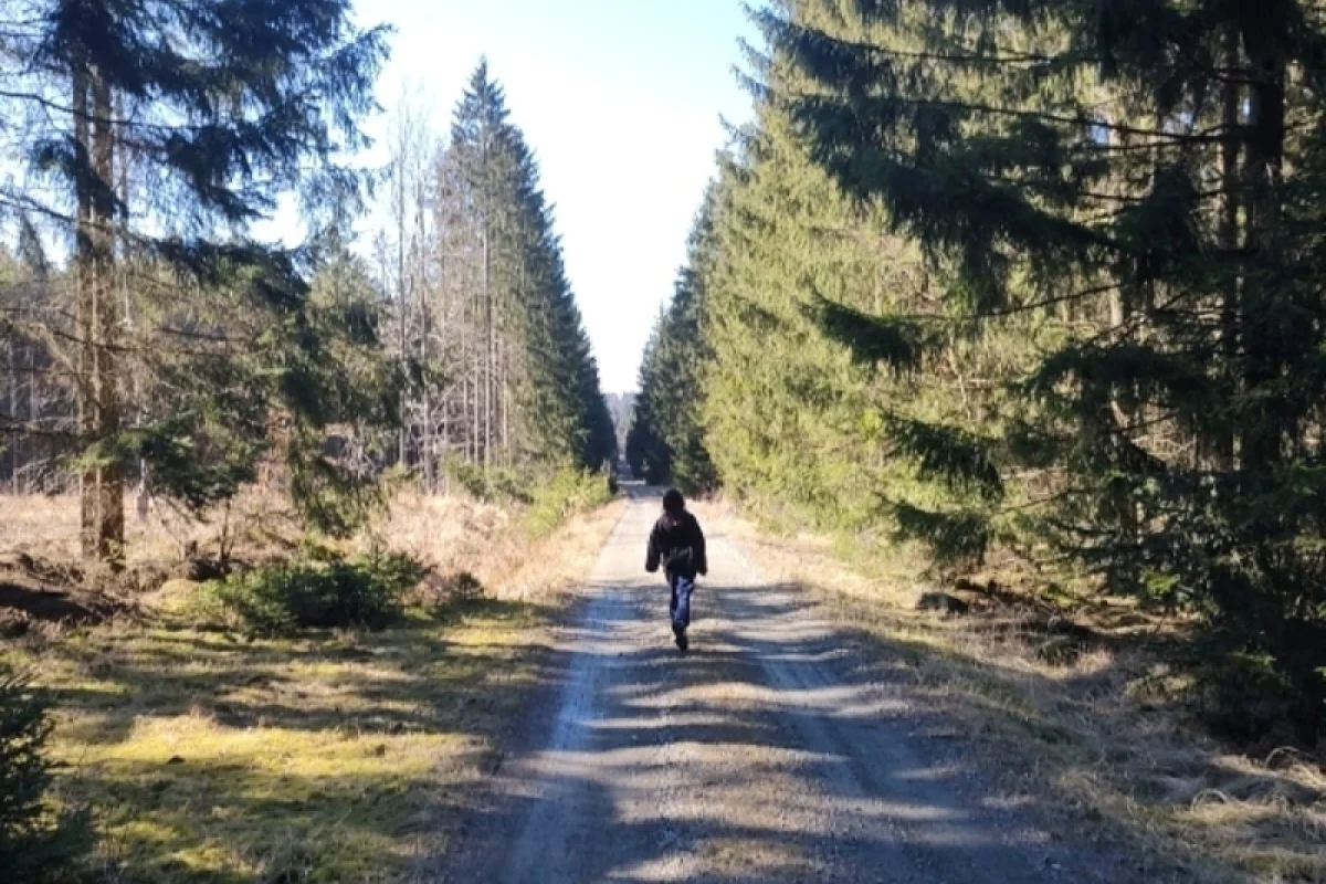 Po stopách tajného agenta: Venkovní úniková hra - foto 06