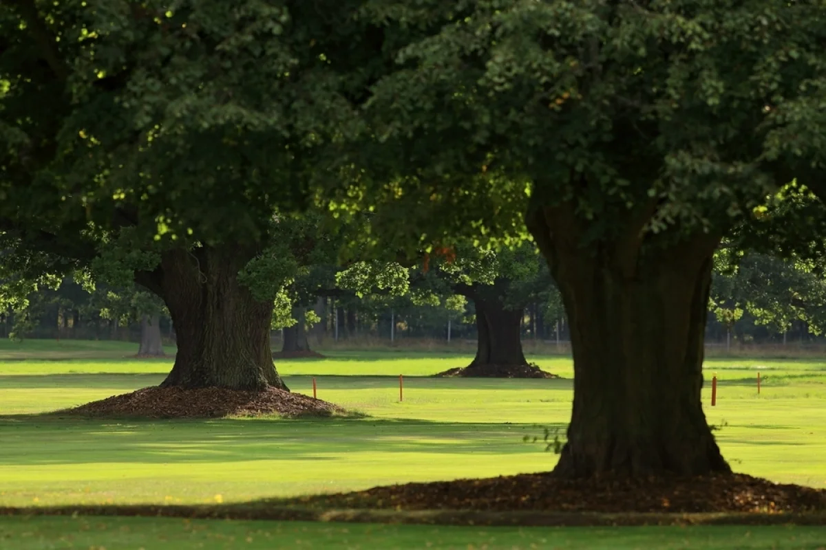 Pobyt s výukou golfu v Penzionu Černická obora pro 2 osoby na 2 noci se snídaní - foto 03