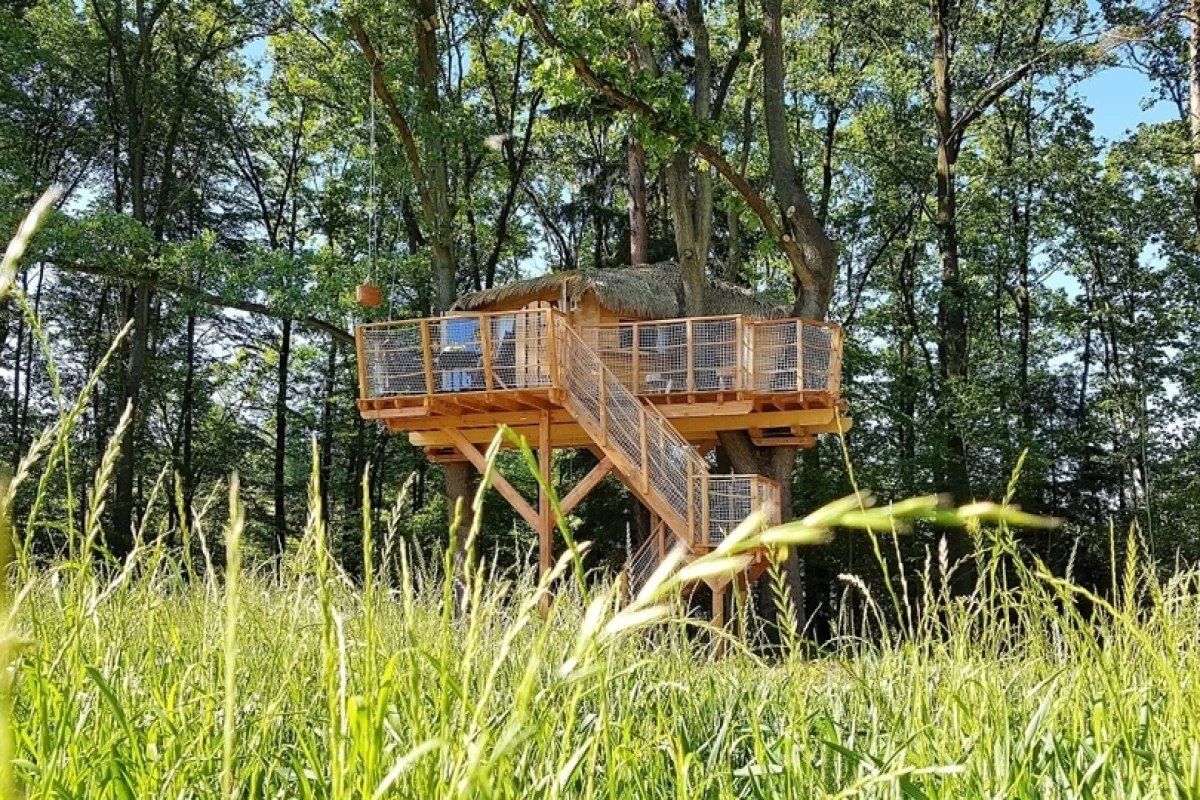 Pobyt se snídaní v krásném Tree house U Borovice v Resortu Green Valley - foto 02
