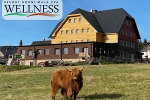 Pobyt u Sněžky s wellness a snídaní - foto 02