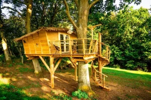 Pobyt v nádherném Treehousu se snídaní, saunou a neopakovatelnou atmosférou nedaleko Orlíku - foto 01