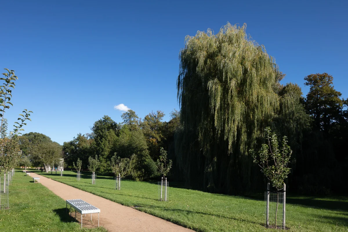 Pobyt v sedle v zámeckém hotelu pro 2 - foto 05