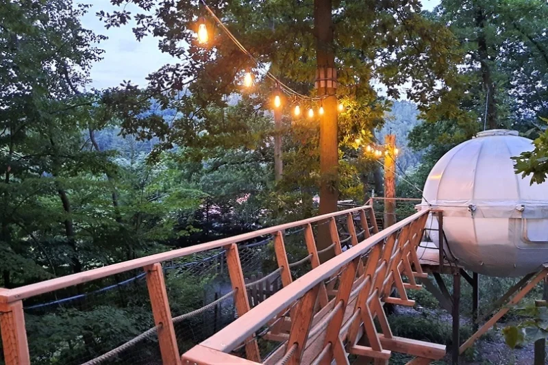 Pobyt v unikátním Cocoon Tree zavěšeném lany mezi stromy se snídaní a privátní vířivkou pro dva - foto 03