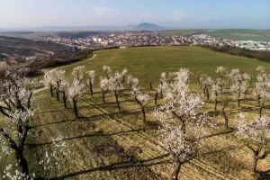 Pobytový balíček hotelu Wine Wellness Hotel Amande: Jsem na dovolené - foto 01