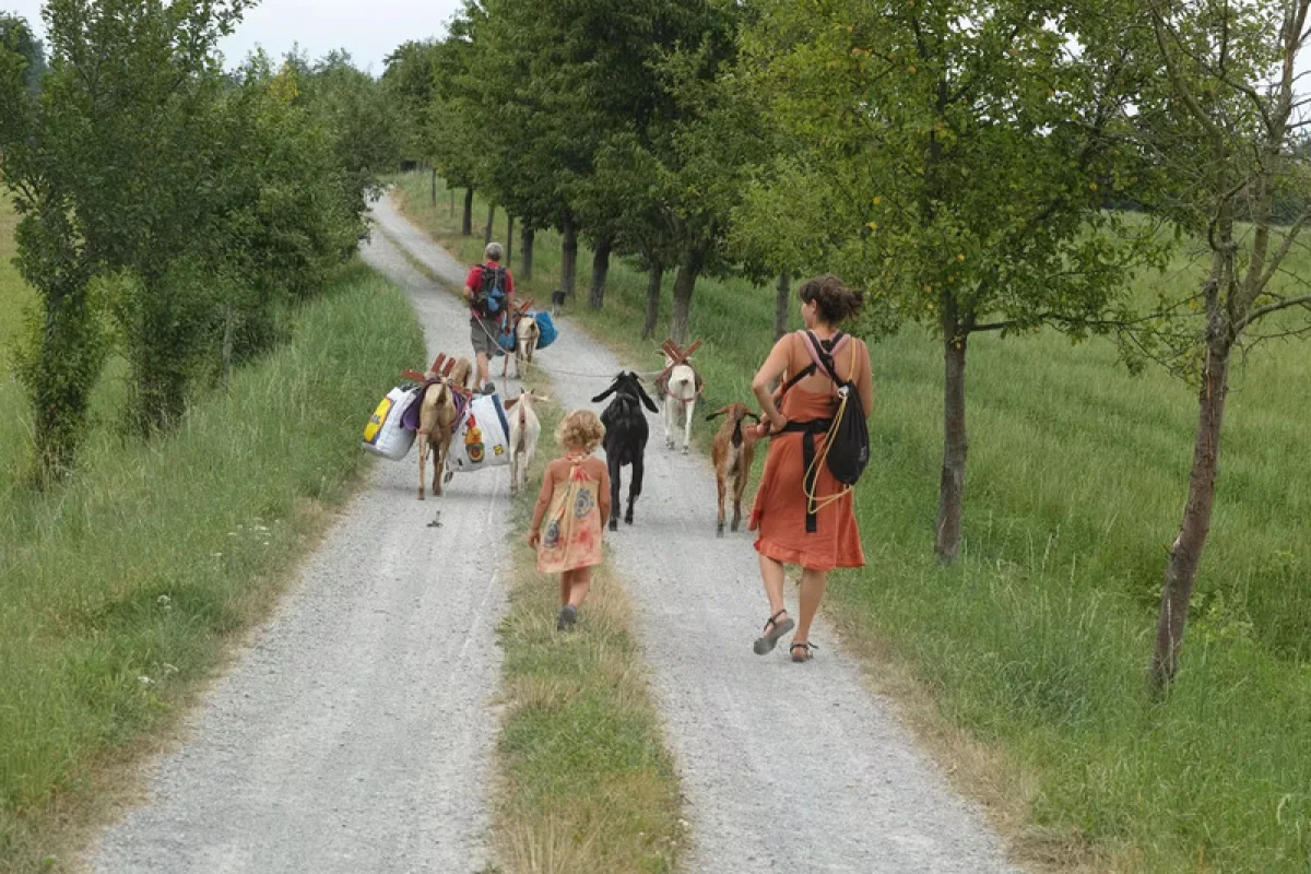 Procházka, výprava či piknik s kozou - foto 06
