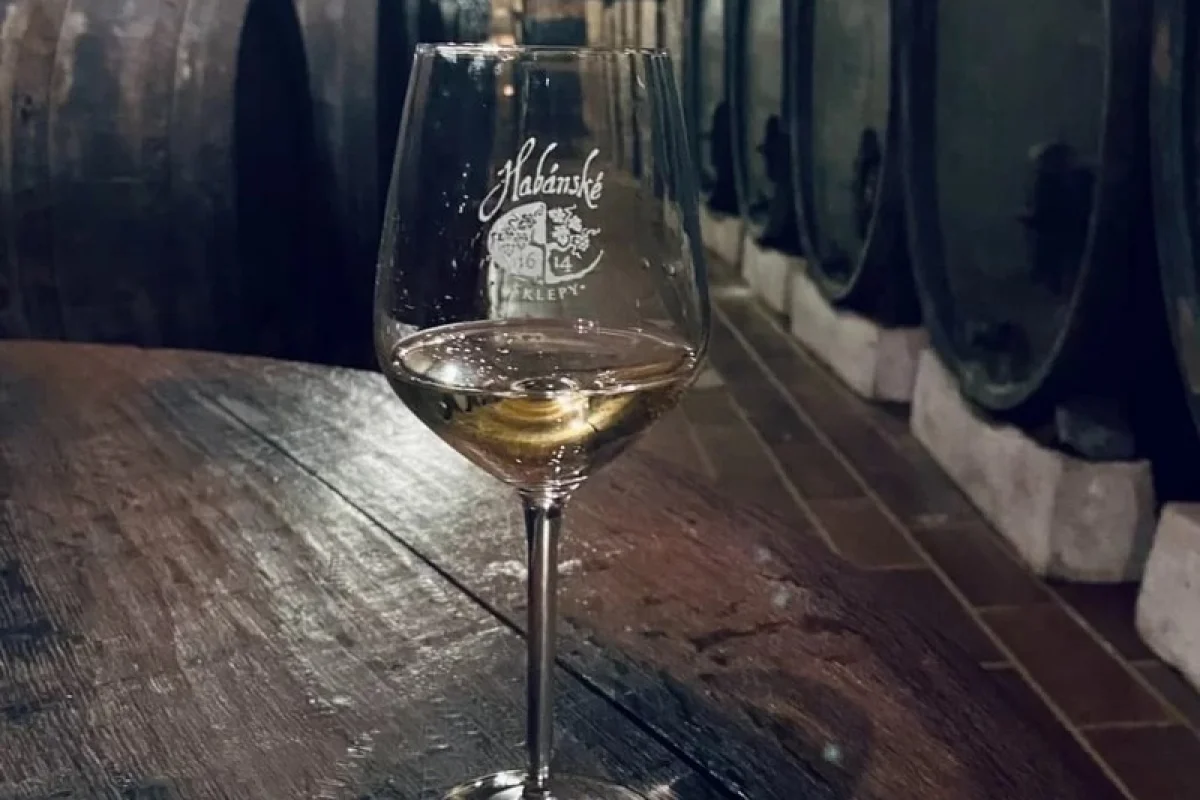 Prohlídka Habánských sklepů a vinařství s degustací a dárkem - foto 08