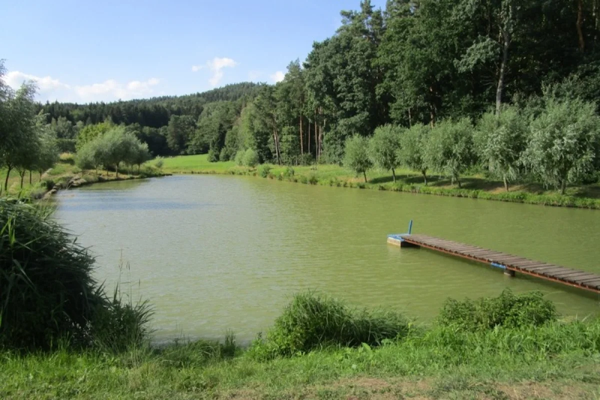 Pronájem soukromého rybníka až pro 8 rybářů | zážitkový dárek - foto 07