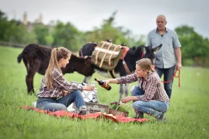 Půldenní výlet se dvěma oslíky, svezením a farmářským piknikem až pro 5 osob - foto 01
