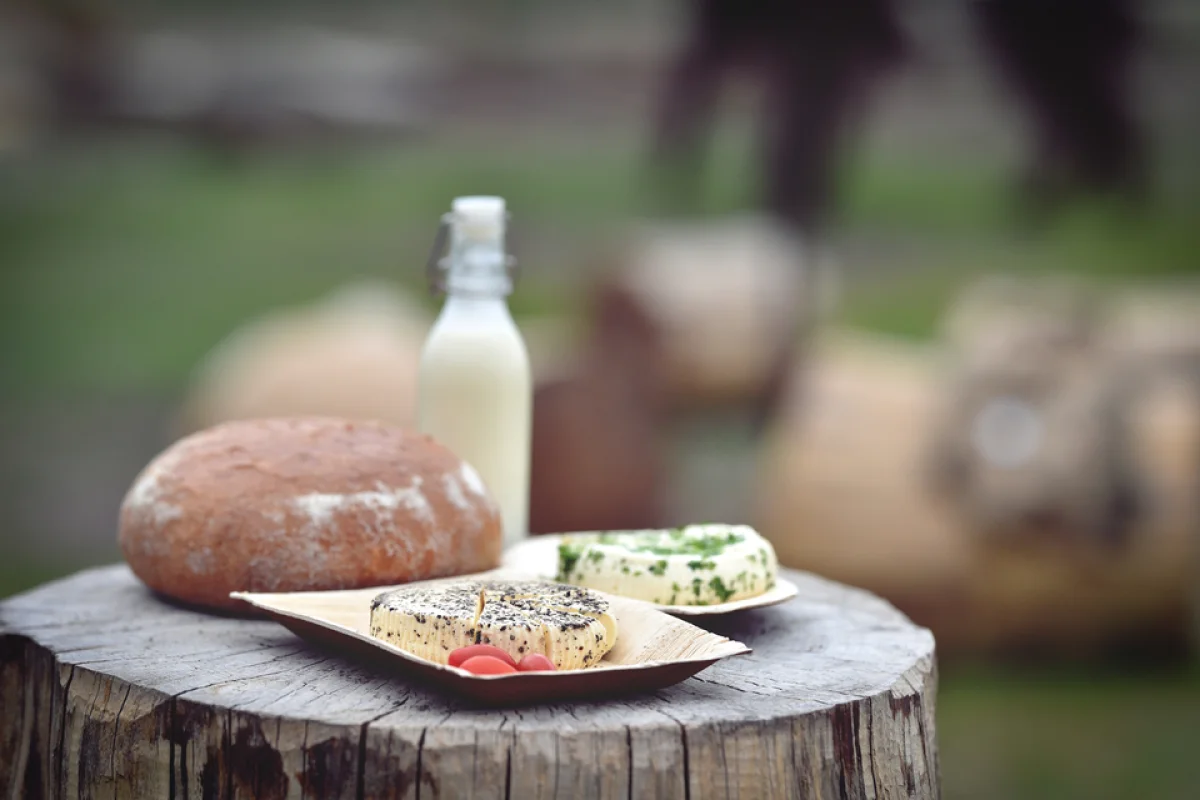 Půldenní výlet se dvěma oslíky, svezením a farmářským piknikem až pro 5 osob - foto 05