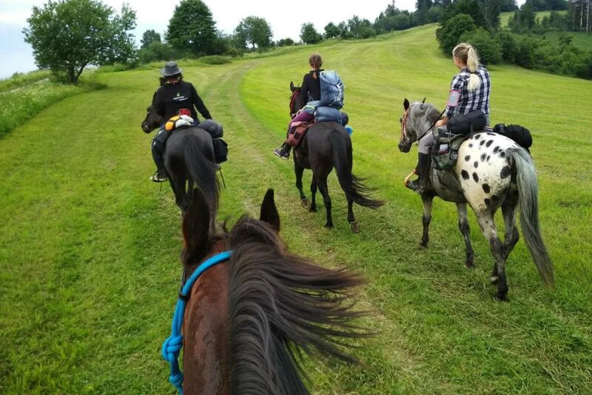 Putování s koňmi na Slovensku + ubytování - foto 03