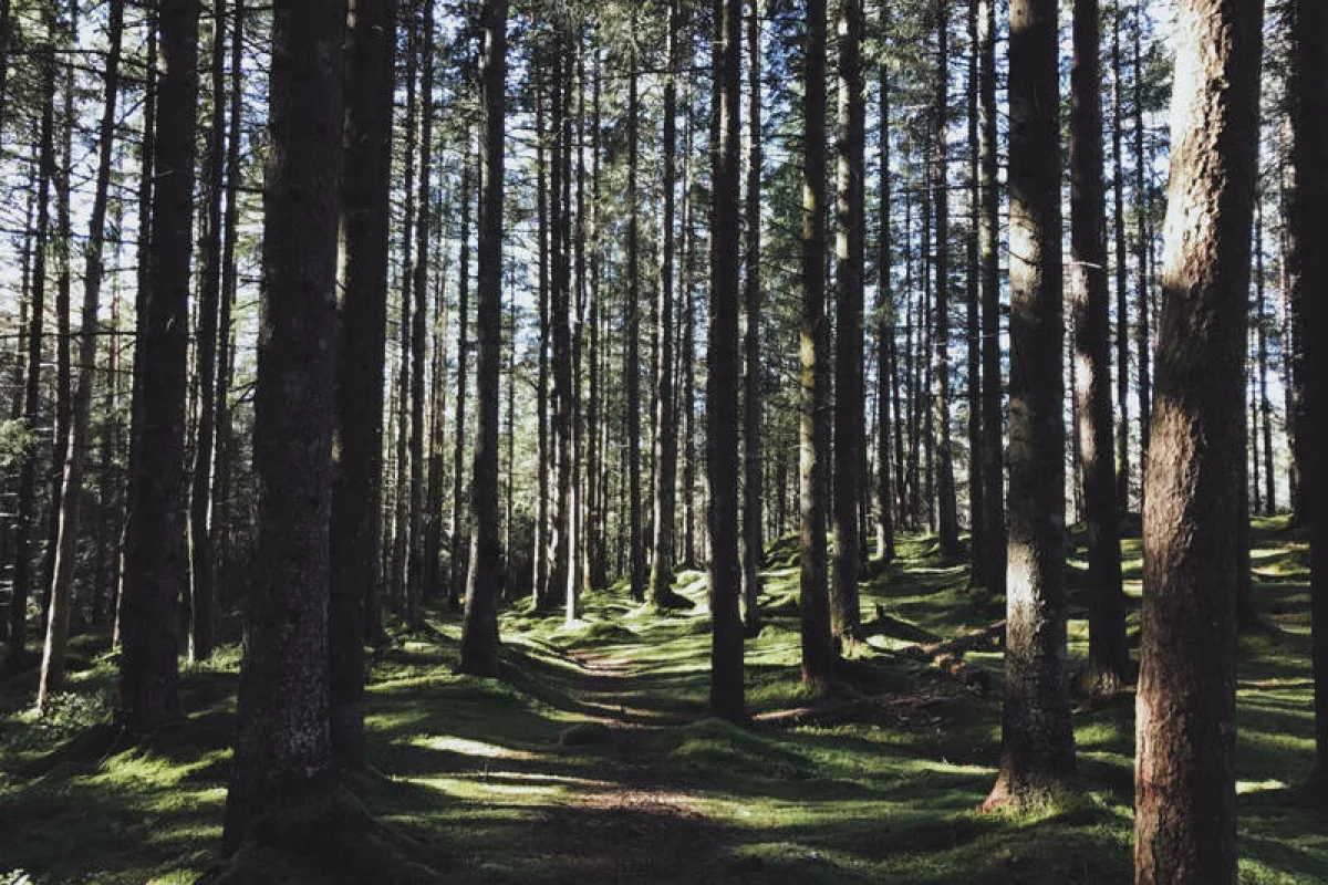 Putování s koňmi na Slovensku + ubytování - foto 04