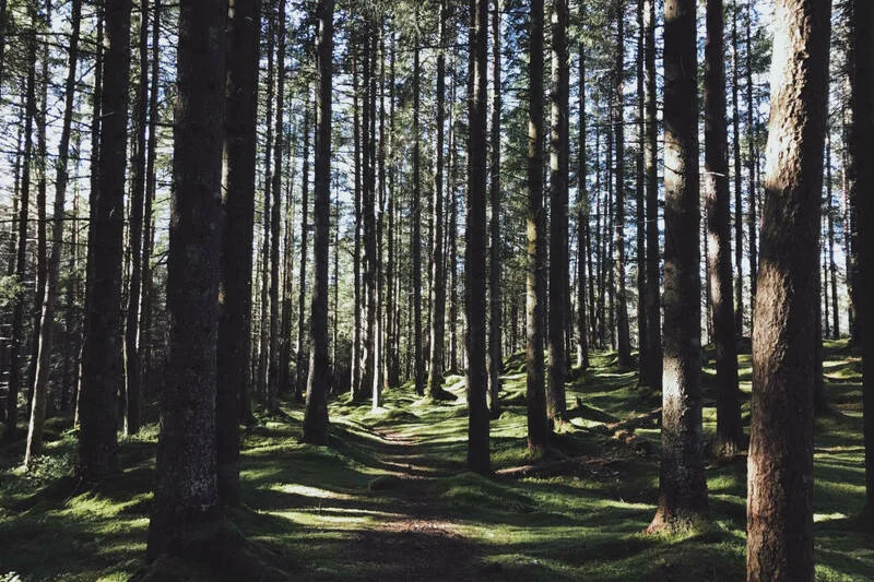 Putování s koňmi na Slovensku + ubytování - foto 04