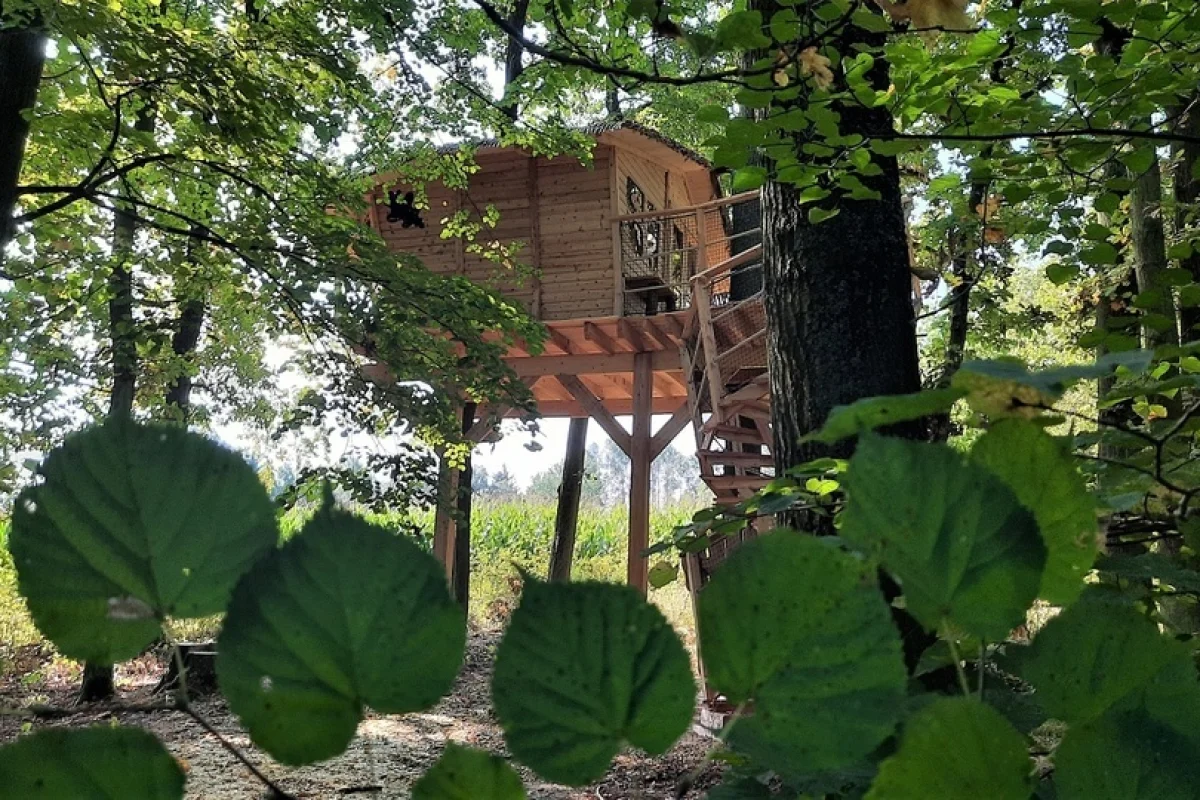 Relaxační pobyt ve stylovém Tree house V lipách s vířivkou a snídaní v Resortu Green Valley pro 2 osoby - foto 05