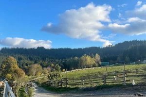 Relaxační víkend na statku na Slovensku - foto 01