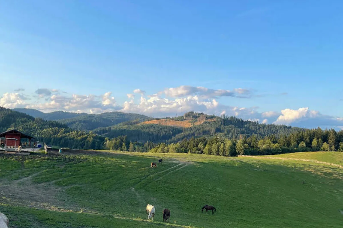 Relaxační víkend na statku na Slovensku - foto 04