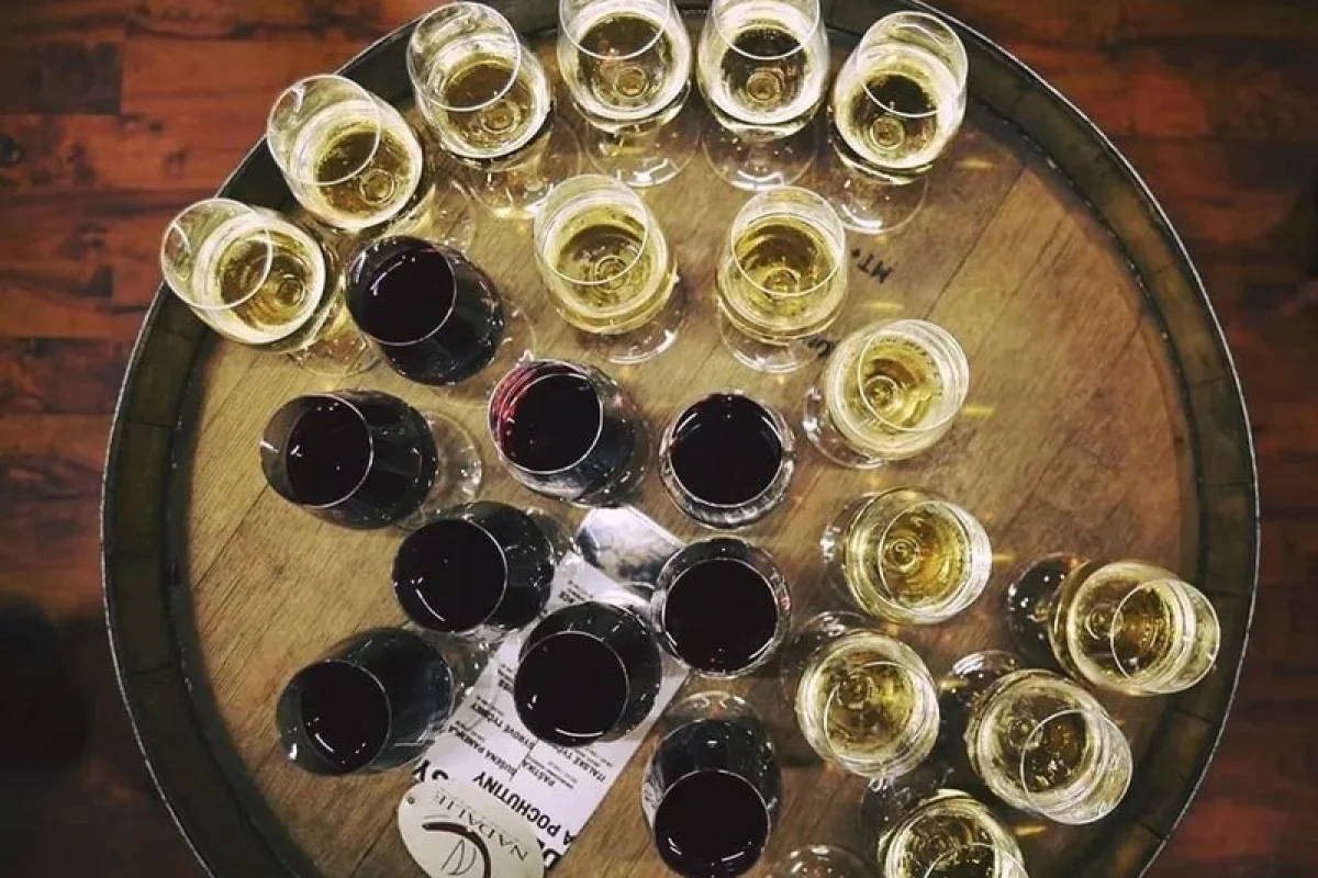 Řízená degustace ve vinném sklípku - foto 04