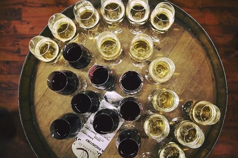 Řízená degustace ve vinném sklípku - foto 04