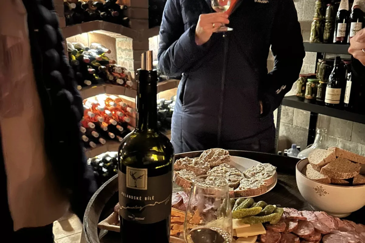 Řízená degustace ve vinném sklípku - foto 08