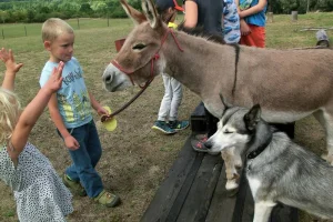 Rodinná exkurze na farmě - foto 01