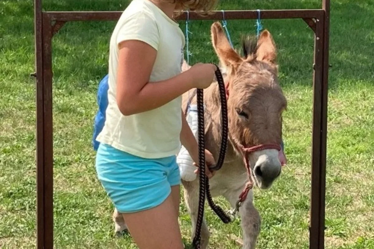 Rodinná exkurze na farmě - foto 08