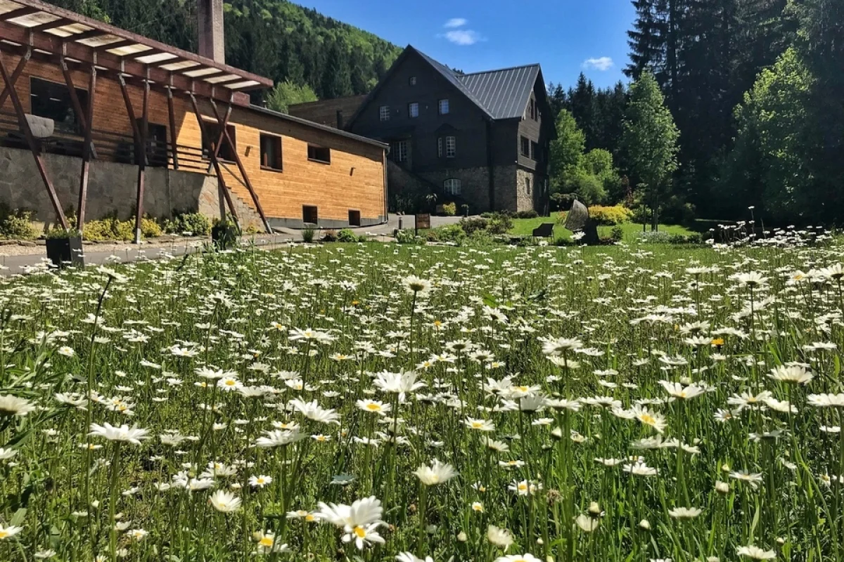 Romantická noc se snídaní a 4chodovou večeří v Hotel & Garden U Holubů v srdci Beskyd pro 2 osoby - foto 03