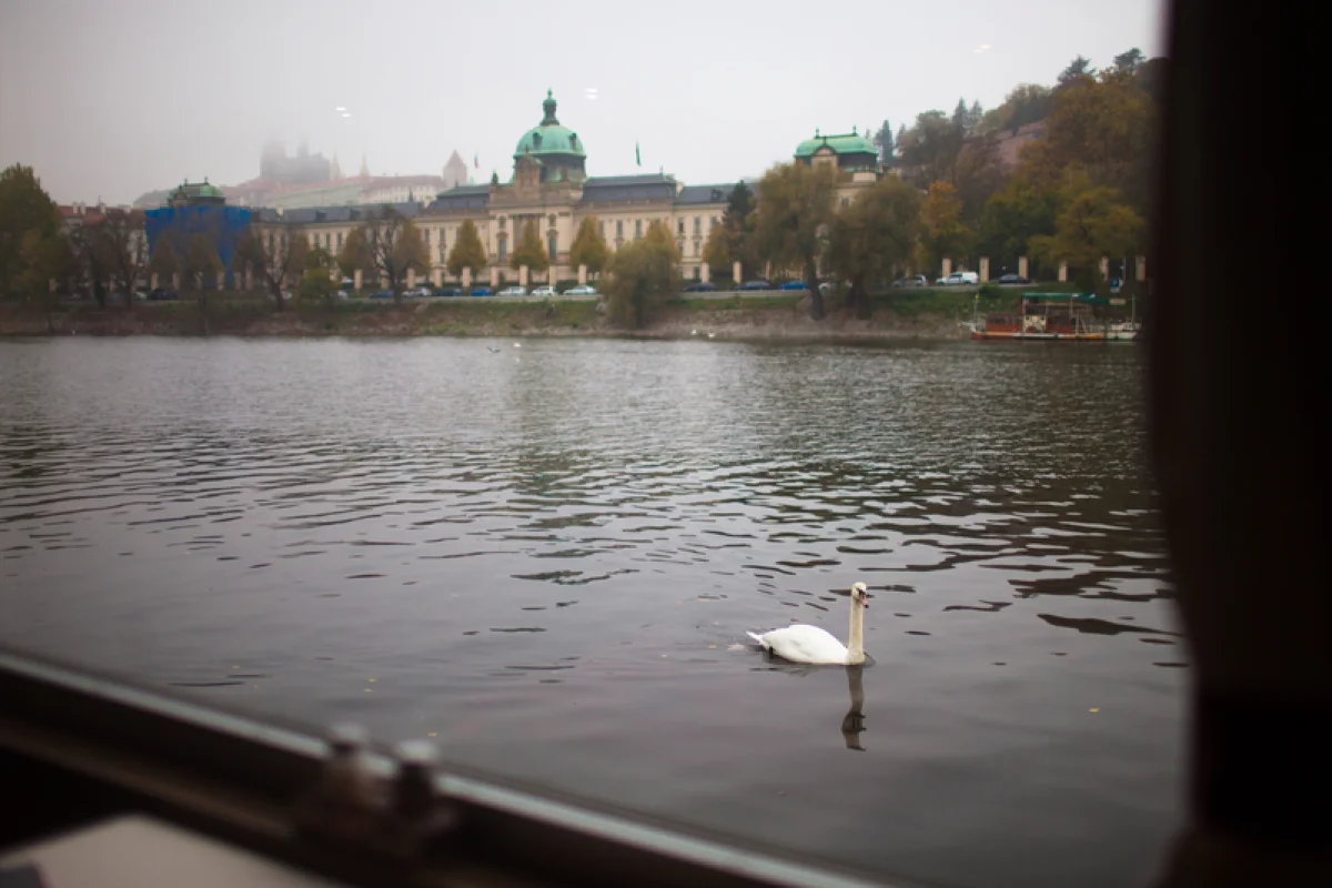 Romantická plavba po Vltavě s výhledem a gurmánským zážitkem - foto 07