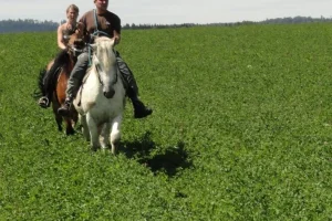 Romantická vyjížďka na koni ve dvou - foto 02
