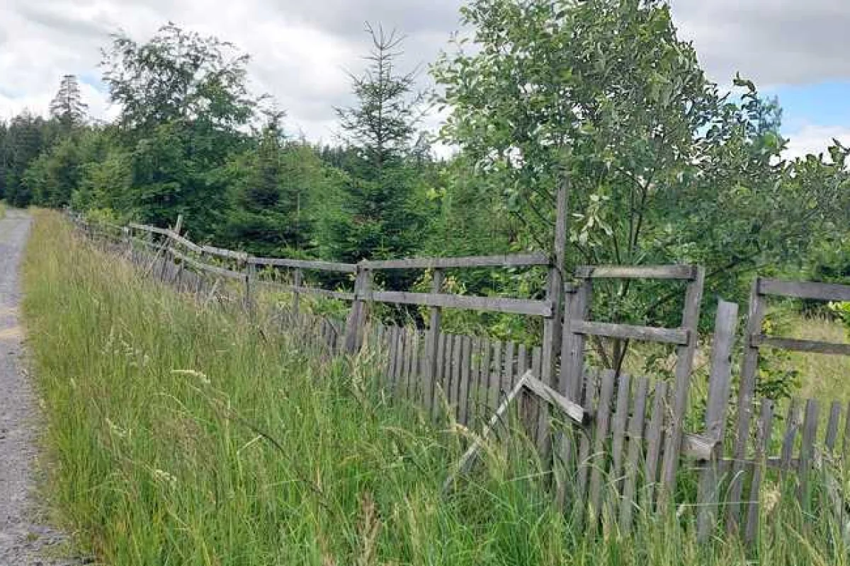 Rychnovský zázrak - venkovní úniková hra v přírodě okolo Rychnova na Moravě - foto 03