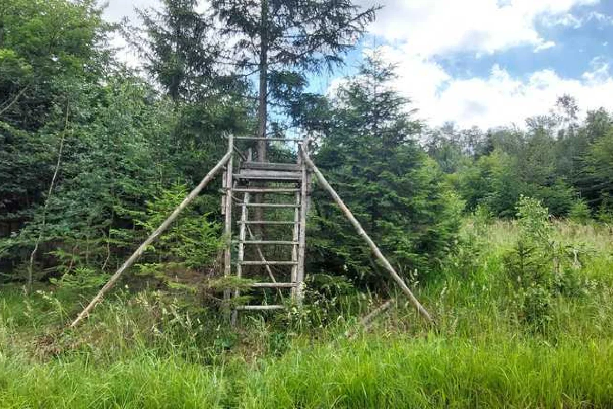 Rychnovský zázrak - venkovní úniková hra v přírodě okolo Rychnova na Moravě - foto 04