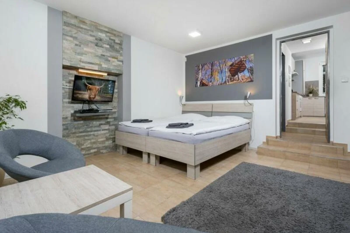 Skandinávské přírodní wellness s ubytováním*** v EKOParku Liberec - foto 10