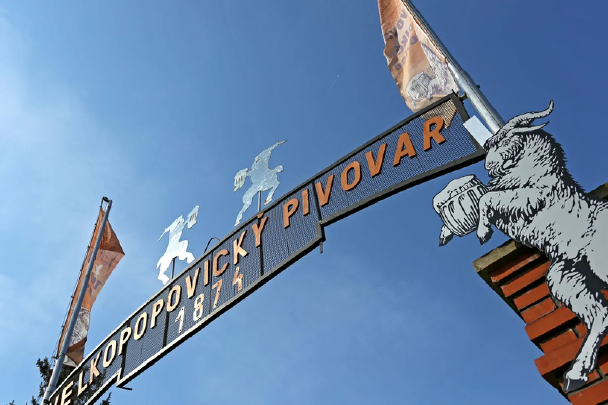 Škola čepování Kozel + prohlídka pivovaru Velké Popovice - foto 07