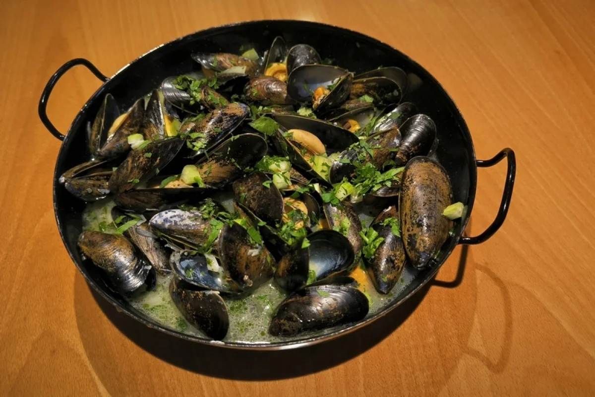Středomořské degustační menu plné grilovaných mořských dobrot v centru Prahy pro 2 osoby - foto 02